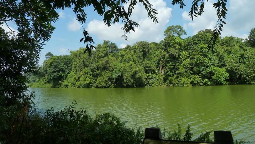Construction worker gets jail, caning for raping 12-year-old girl thrice at reservoir