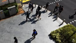 Related article image