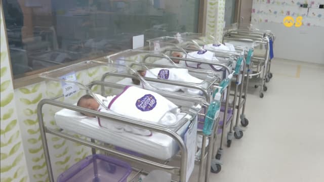 独立以来最少 今年龙宝宝预计不到4万个