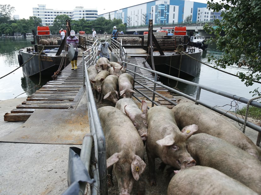 Watching from farm to fork: Keeping food in Singapore safe in the global era Watching from farm to fork: Keeping food in Singapore safe in the global era