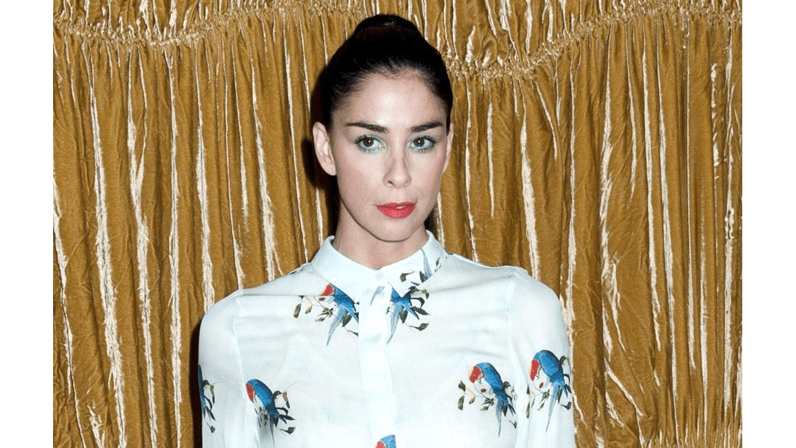 Sarah Silverman: Louis CK masturbated in front of me, but I consented