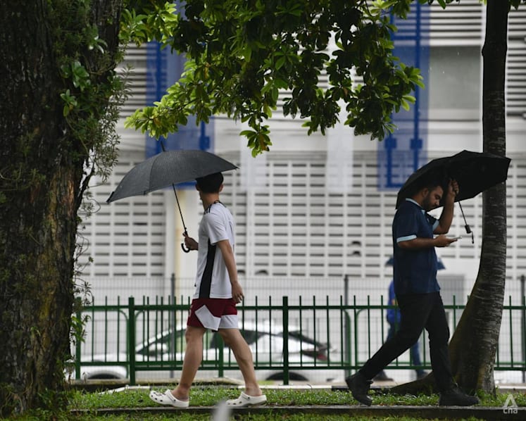 Afternoon thundery showers expected for rest of March as monsoon conditions persist: Met Service