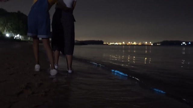 理解问答：本地海滩出现“蓝色海浪”