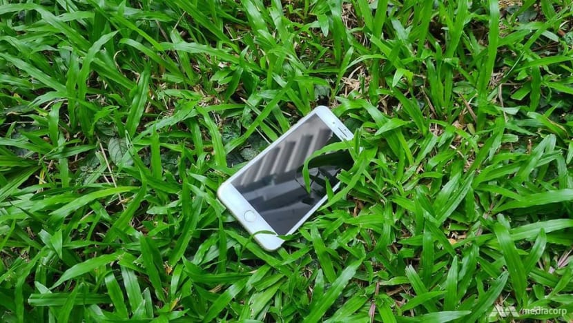 Man picked up iPhone on grass patch and pocketed it instead of returning it, gets fined