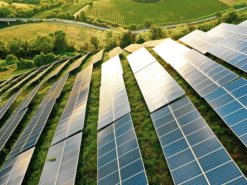 With sustainable investing on the rise, experts warn of greenwashing risks With sustainable investing on the rise, experts warn of greenwashing risks