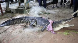 Related article image