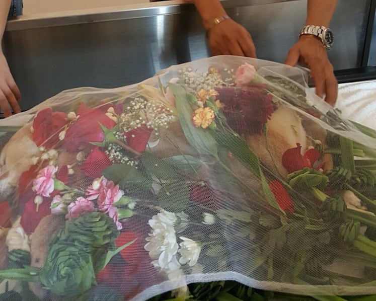 Saying goodbye: Owners go the extra mile for their pet’s final journey
