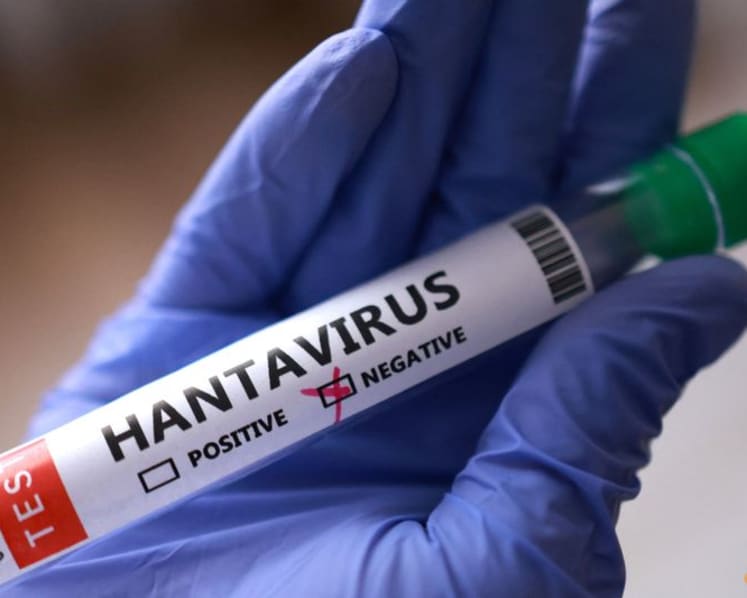 Tests in Italy, Spain come back negative in global hunt for hantavirus