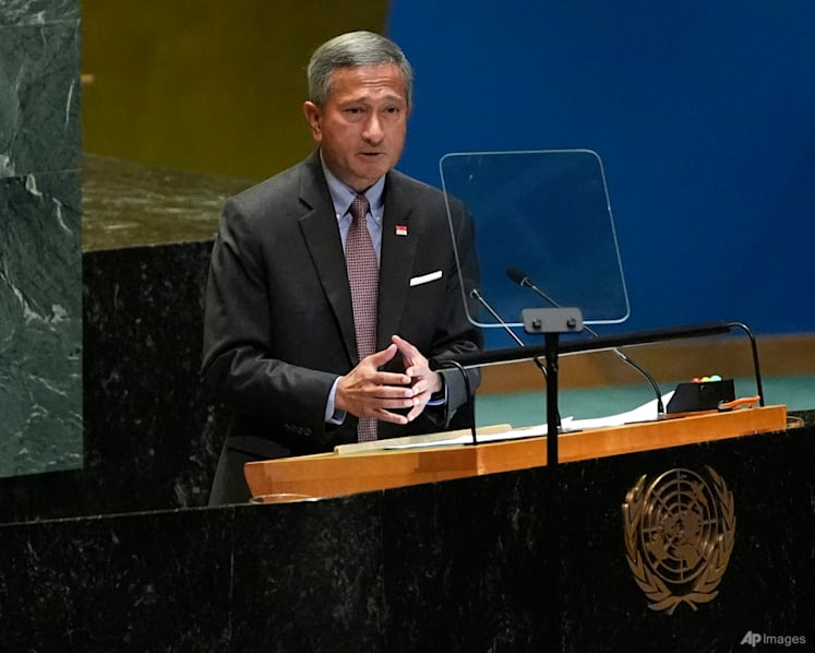 Important to 'empower and transform' the UN so that it is future-ready: Vivian Balakrishnan