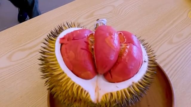 马国沙巴力争成为区域榴梿中心 积极推广山榴梿