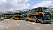 Malaysian coach operator Aeroline to suspend operations for a month, including from Singapore