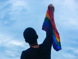 NDR 2022: Govt to repeal Section 377A