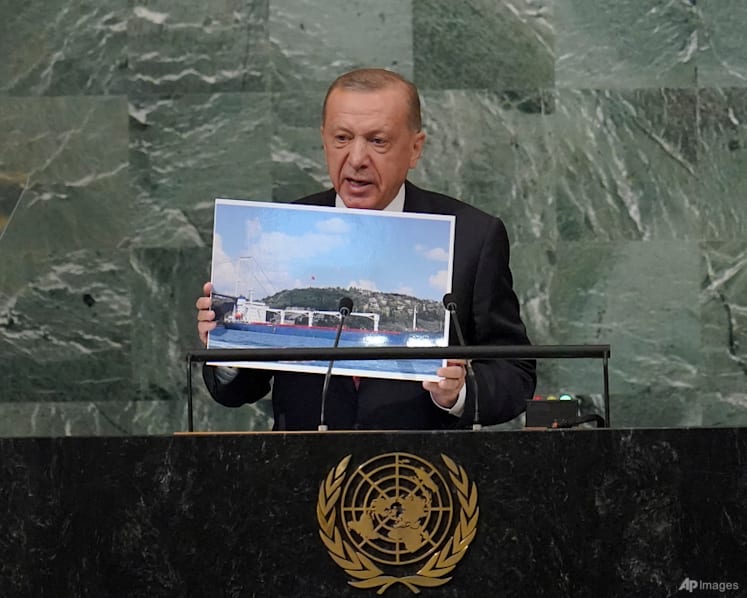 Turkish leader to United Nations: Be 'much more influential'