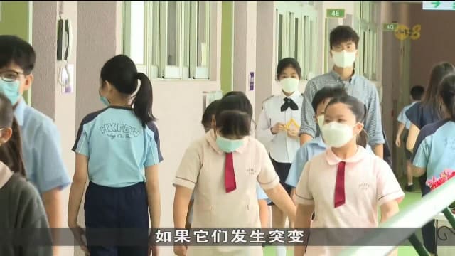 港大研发两款喷鼻式减活疫苗技术 可针对多种流感病毒亚型