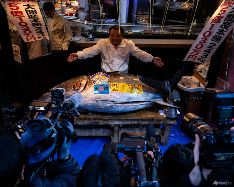 Bluefin tuna sells for record US$3.2 million at year-opening auction at Tokyo fish market