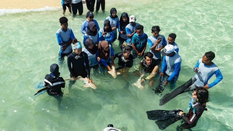 Rewilding Sharks - Raising Myra
