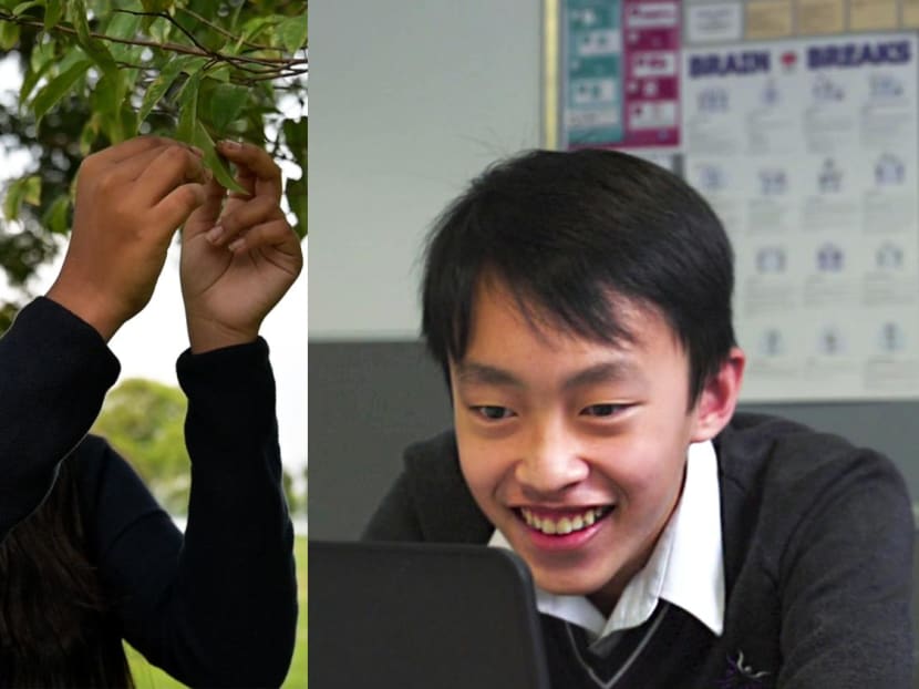 As kids, he was a computer whiz, she was a maths marvel. How are they faring as teens?