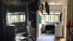 Related article image