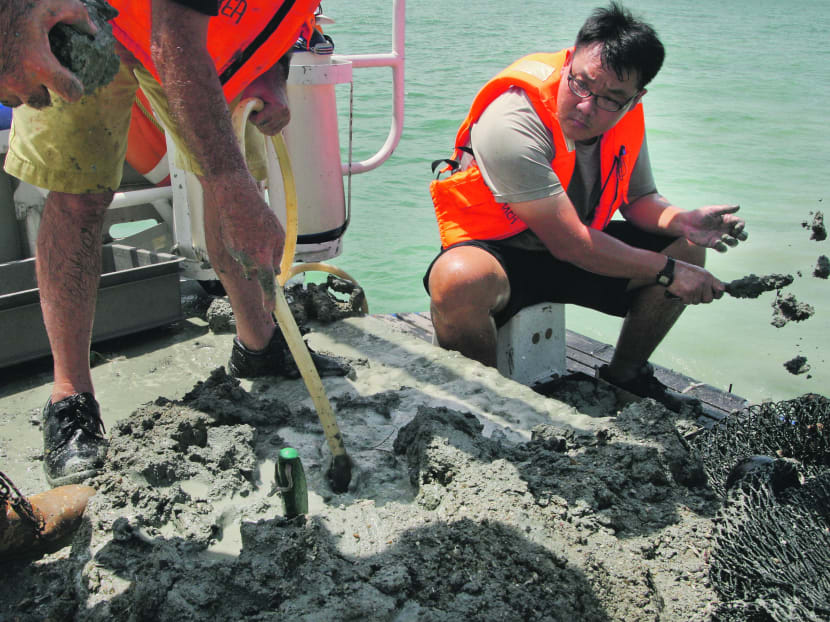 Searching the coast for marine life