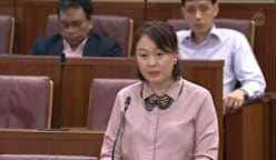 Diana Pang on Road Traffic (Miscellaneous Amendments) Bill