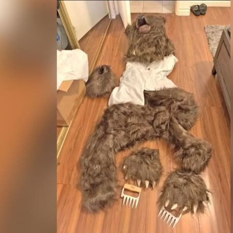 假扮熊攻击豪车美国四人涉骗保逾19万元- 8world