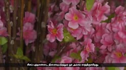 Related article image