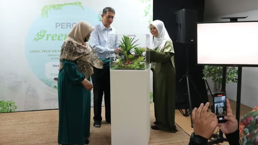 Related article image