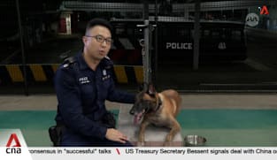 A look into a day of canine and handler as Singapore Police Force K-9 unit marks 70th anniversary A look into a day of canine and handler as Singapore Police Force K-9 unit marks 70th anniversary