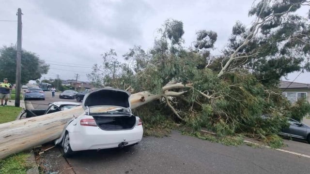 澳洲强风暴雨致电力中断 数万人受影响