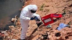 Related article image