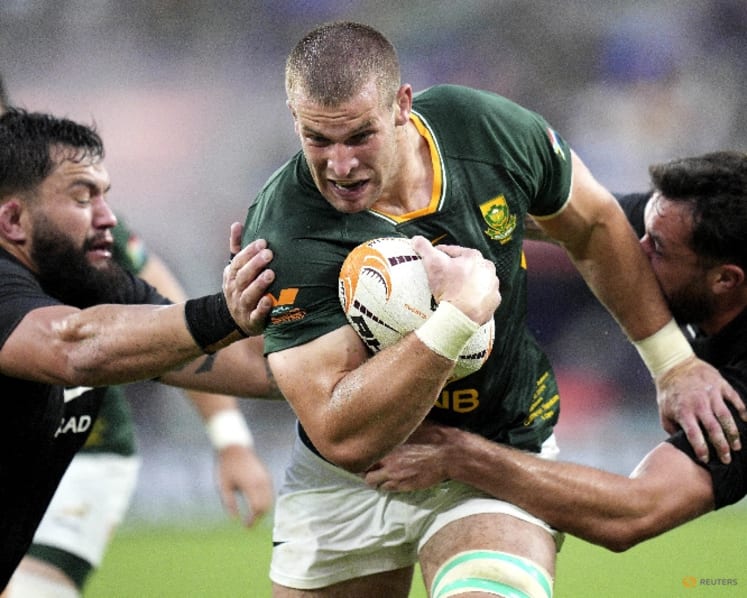 Springboks beat All Blacks again to clinch tour series