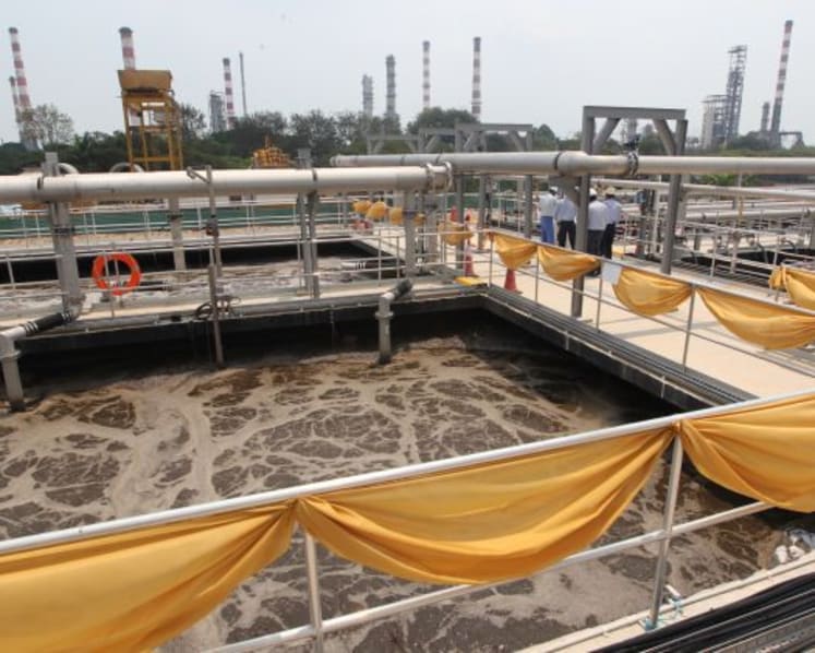 Tuas water plant: Ecosystem monitoring urged