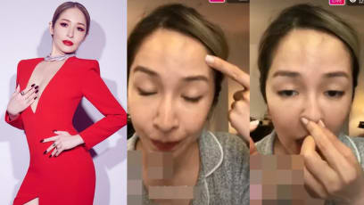 Netizens Think Elva Hsiao, Who's Revealed She'd Undergone Plastic Surgery Before, Recently Got Her Nose Done Too