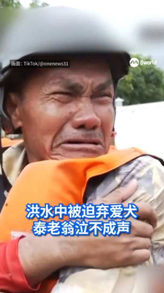 20251130_hatyai_dog_vod_01