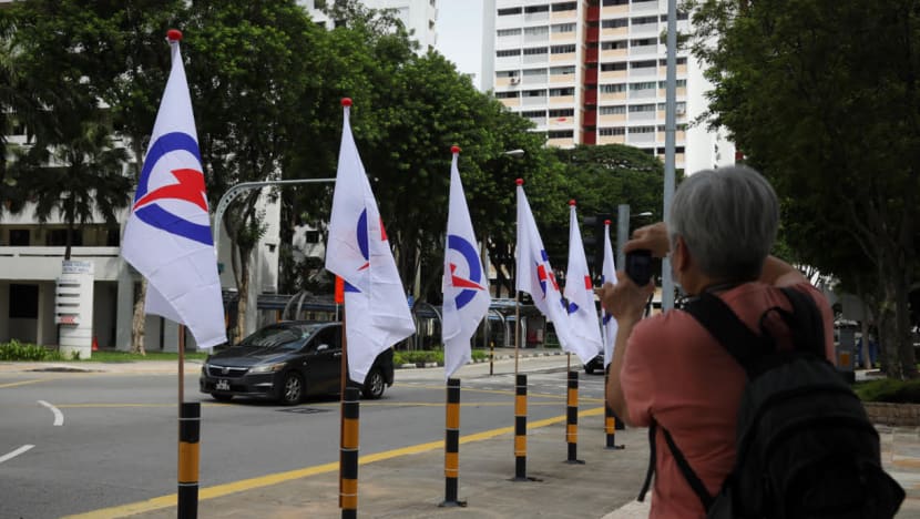 Not campaign period yet, so laws on display of party flags for GE don’t apply: Elections Department