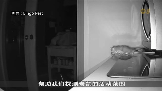 汉坦病毒新闻引关注 灭鼠需求增三四成