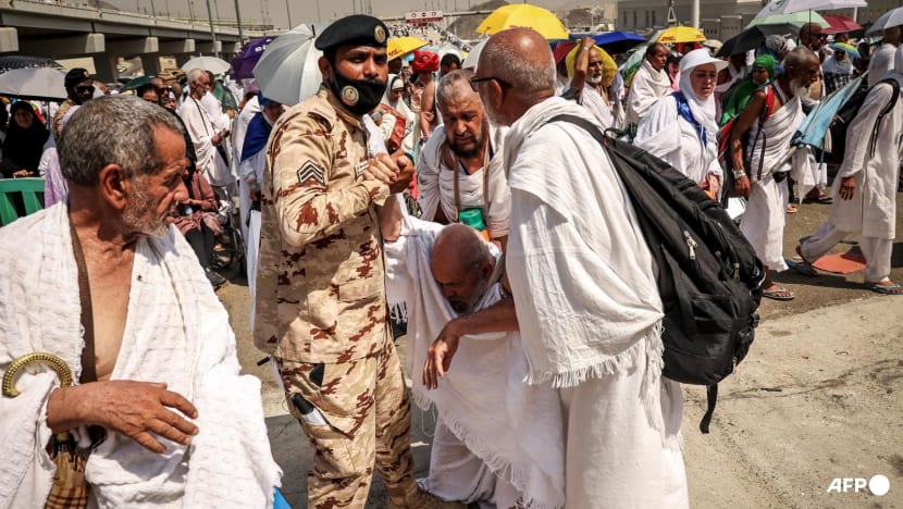 Egypt cracks down on tourism companies, blaming them for Haj deaths Egypt cracks down on tourism companies, blaming them for Haj deaths
