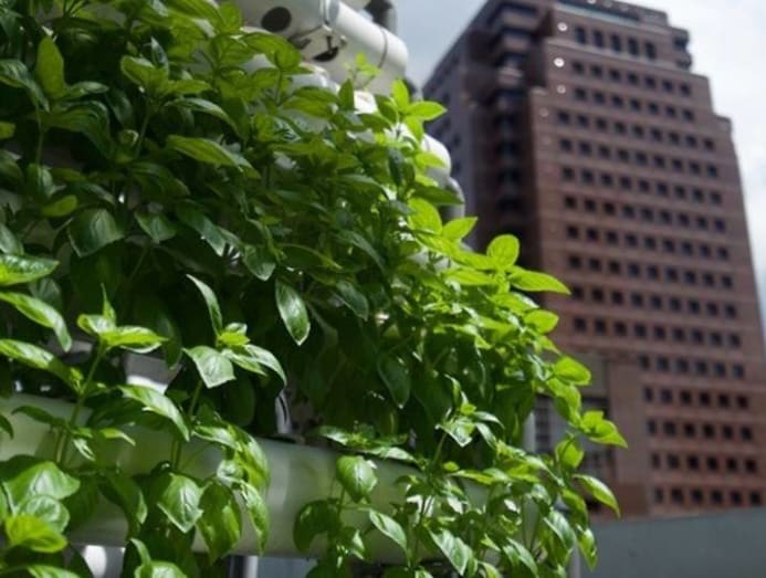 Going eco-friendly: Can you really pursue a sustainable lifestyle in ...