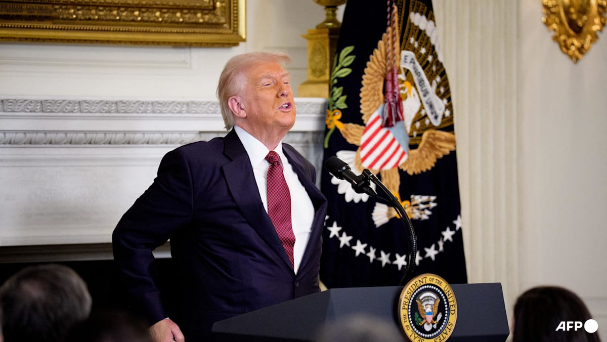 Top Democrats slam Trump for delaying export curbs on China