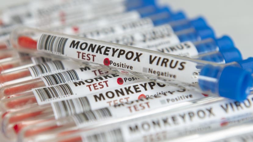 MOH doesn't recommend mass vaccination against monkeypox as 'benefits do not outweigh risk': Ong Ye Kung
