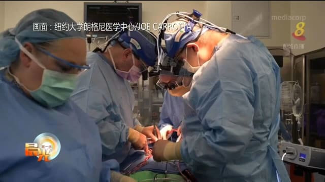美国二病患接受猪心移植 手术后72小时无排斥现象