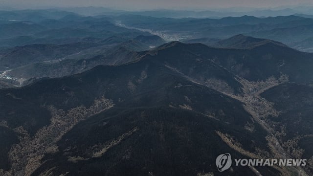 韩国林火增至28死 降雨与风速减弱加速灭火工作