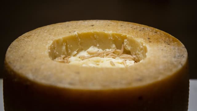 全球地狱级料理来了，活蛆乳酪敢不敢试？