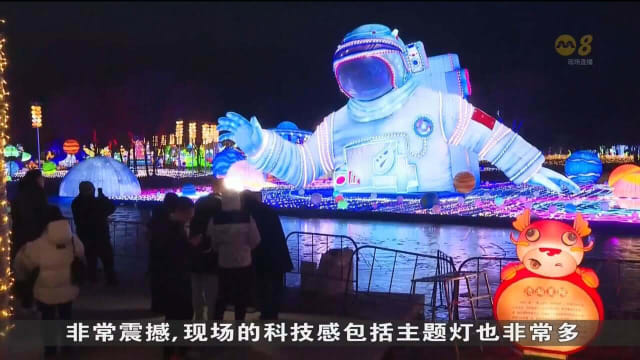 中国一些地区亮起春节彩灯 动物园大熊猫也凑热闹一起迎接龙年