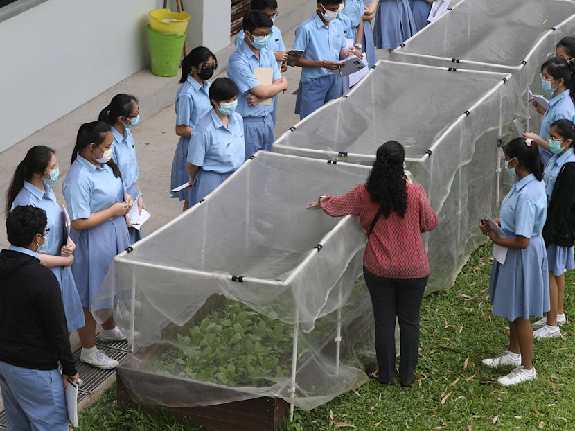 Understanding why high performing S’pore science, math students have low confidence in these subjects