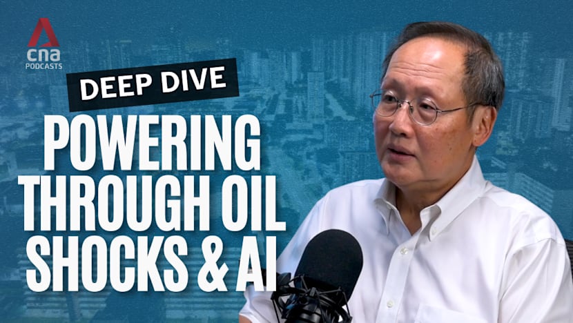 Deep Dive - Singapore's fuel stockpile for electricity 'enough to last for months' in a crisis: Tan See Leng