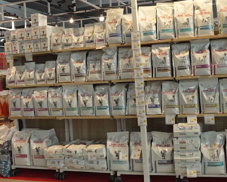 Thailand’s pet food exports surge, but rising competition and global risks may slow growth