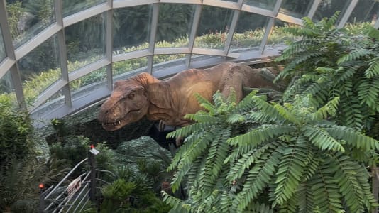 What To Expect At Jurassic World: The Experience at Gardens By The Bay’s Cloud Forest