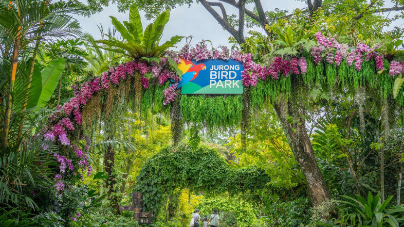 Jurong Bird Park to close on Jan 3, 2023, ahead of move to Mandai
