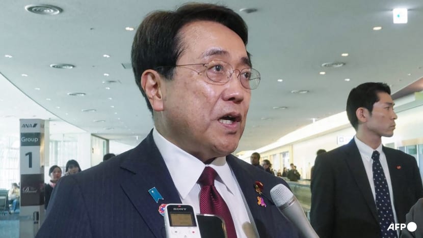 Japan tariff envoy seeks 'win-win' deal with US Japan tariff envoy seeks 'win-win' deal with US